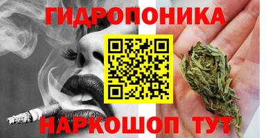 прущие крисы Малгобек