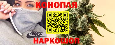 прущие крисы Малгобек